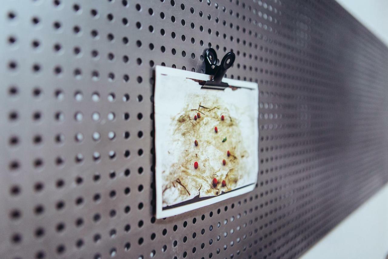 Apartament We Saw Ateny Zewnętrze zdjęcie